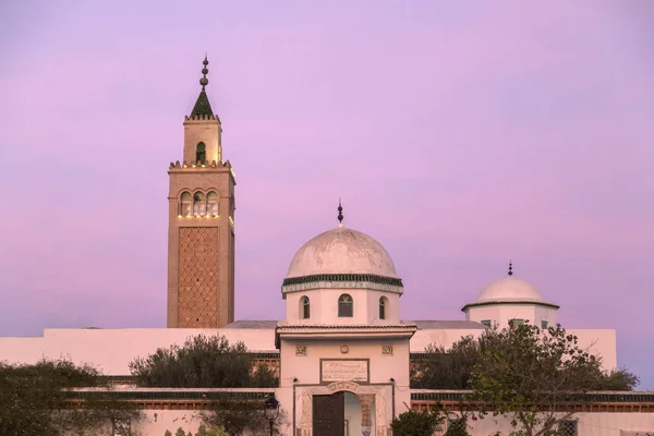 Мечеть Ла Марса, Тунис, Тунис — стоковое фото