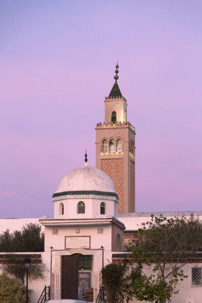 Mesquita de La Marsa, Tunis, Tunísia — Fotografia de Stock