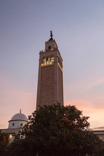La Marsa Meczet, Tunis, Tunezja — Zdjęcie stockowe
