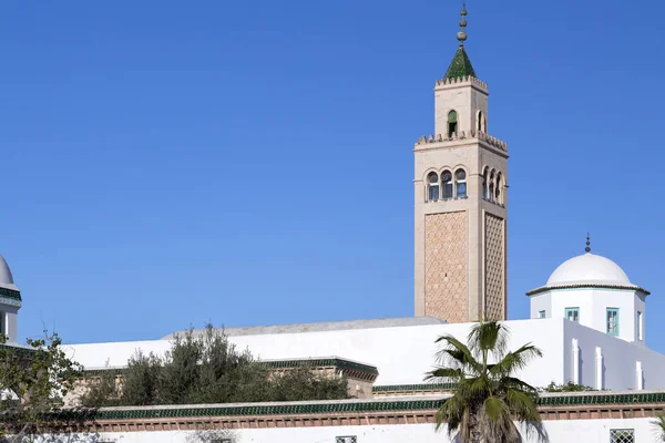 Tunus Genel Meydanı Ulusal Anıt Belediye Binası Tunus — Stok fotoğraf