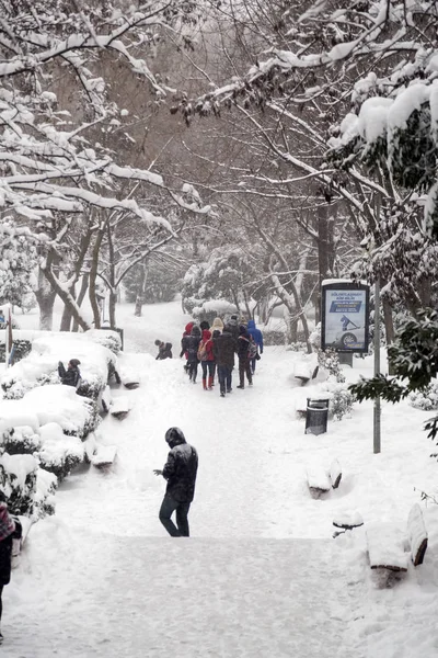 Istambul Turquia Janeiro 2018 Neve Pesada Cobre Toda Istambul Janeiro — Fotografia de Stock