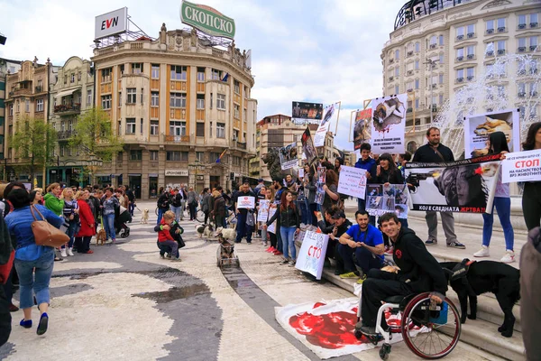 Civis protestando contra a violência contra os cães de rua, sólido — Fotografia de Stock