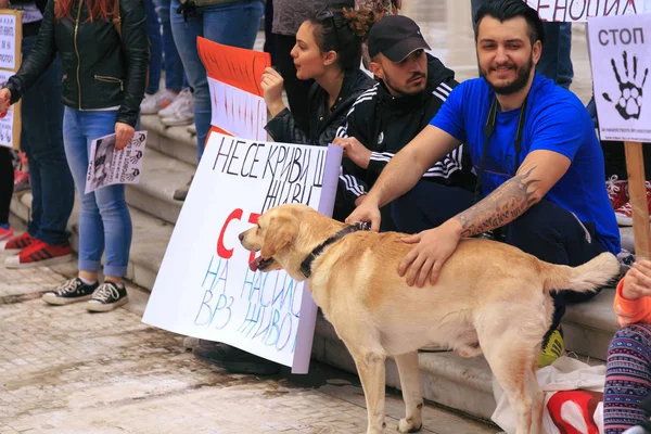 通り犬の固体に対する暴力に抗議の市民 — ストック写真