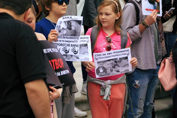 Civils protestant contre la violence envers les chiens de rue, solide — Photo