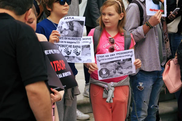 Burgers die protesteren van de verkrachting aan straat honden, solide — Stockfoto