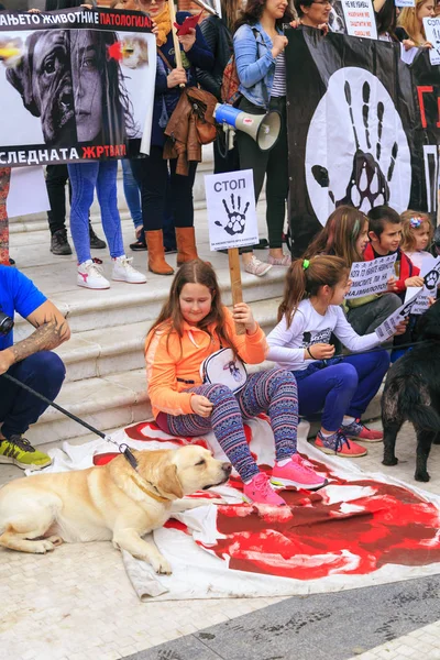 通り犬の固体に対する暴力に抗議の市民 — ストック写真
