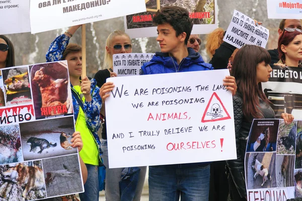 Civils protestant contre la violence envers les chiens de rue, solide — Photo