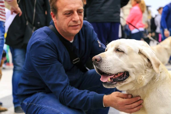 通り犬の固体に対する暴力に抗議の市民 — ストック写真