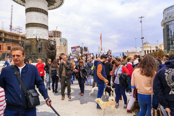 Civili che protestano contro la violenza nei confronti dei cani da strada, solidi — Foto Stock