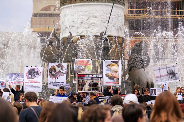 Civis protestando contra a violência contra os cães de rua, sólido — Fotografia de Stock