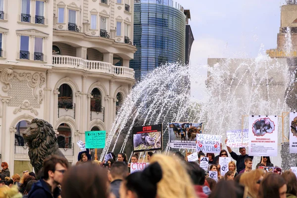 Civila protesterande våldet mot gatan hundar, fast — Stockfoto