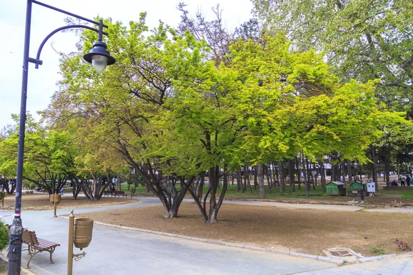 Zena Park Üsküp, Makedonya için görünümden — Stok fotoğraf