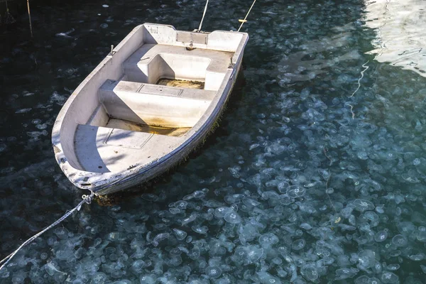 単一行のボートと水のゼリー魚の多く — ストック写真