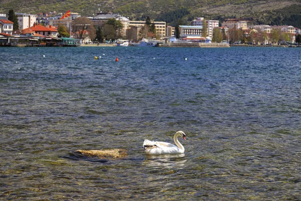 Coastal view of Ohrid, Macedonia — Stock Photo, Image