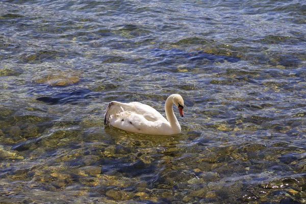 オフリド、マケドニアの海岸ビュー — ストック写真