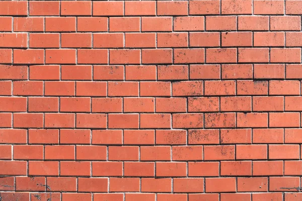 벽돌 벽의 질감 배경 — 스톡 사진