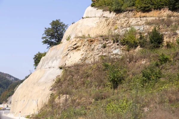 Foothill Plants Rocks — Stock Photo, Image