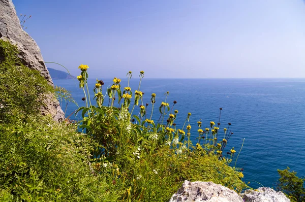 Olympos 海岸, 安塔利亚, 土耳其 — 图库照片