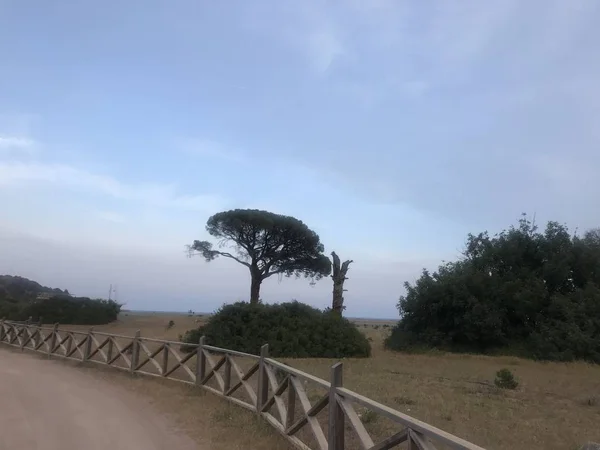 Cirali Kustlijn Haar Omgeving Mediterrane Kust Van Antalya Turkije — Stockfoto