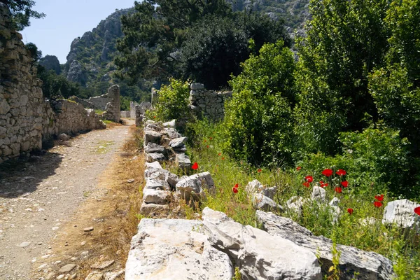 Ruiny Starożytnego Olympos Antalya Turcja Starożytnej Cywilizacji Został Zbudowany Wybrzeżu — Zdjęcie stockowe