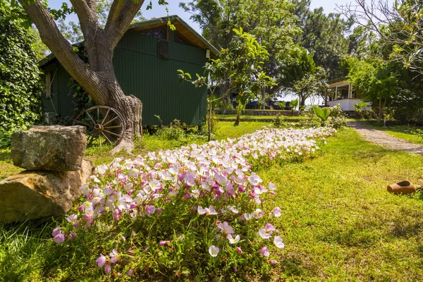 Toeristische bongalow resort in Cirali, Antalya — Stockfoto