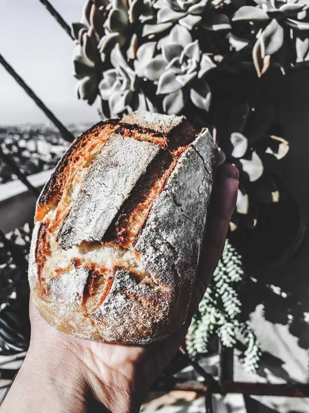 Pane naturale di pasta madre — Foto Stock