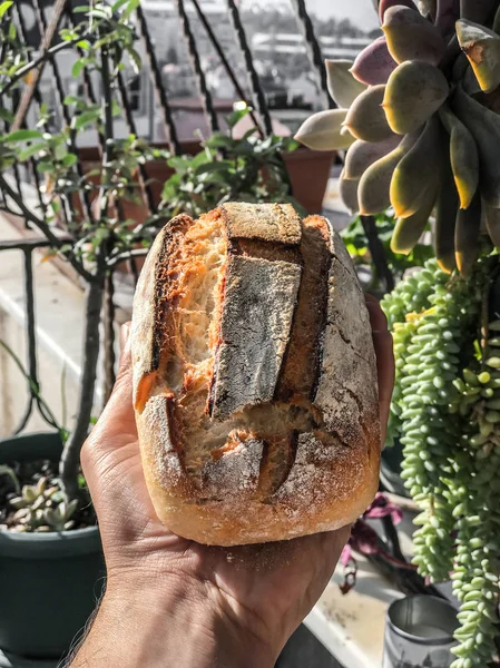 Pane naturale di pasta madre — Foto Stock