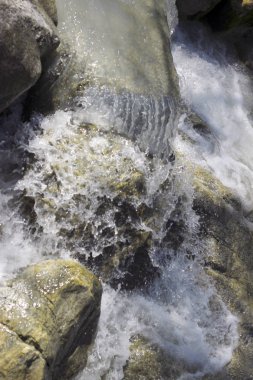 Kanyonda akan nehir vahşi dağ