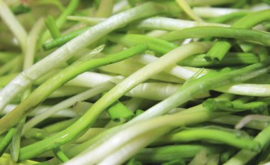 Bahar ramson veya yabani pırasa kaynaklanıyor taze hasat