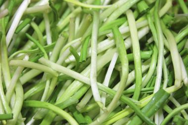 Bahar ramson veya yabani pırasa kaynaklanıyor taze hasat