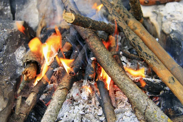 바베 큐 준비 숲에서 모닥불 — 스톡 사진