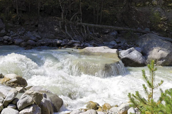 Rio de montanha selvagem que flui no desfiladeiro — Fotografia de Stock