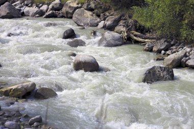 Kanyonda akan nehir vahşi dağ