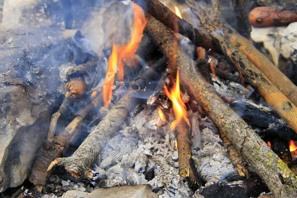 Feu de joie dans la forêt prêt pour le barbecue — Photo