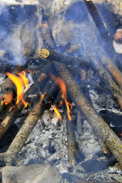 バーベキューの準備ができての森でたき火 — ストック写真