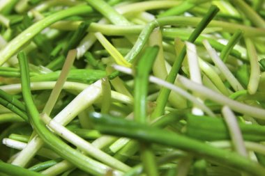 Bahar ramson veya yabani pırasa kaynaklanıyor taze hasat