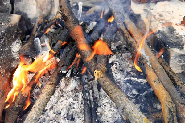 Bonfire in the forest ready for barbeque — Stock Photo, Image