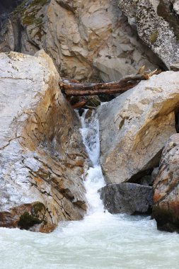 Kanyonda akan nehir vahşi dağ