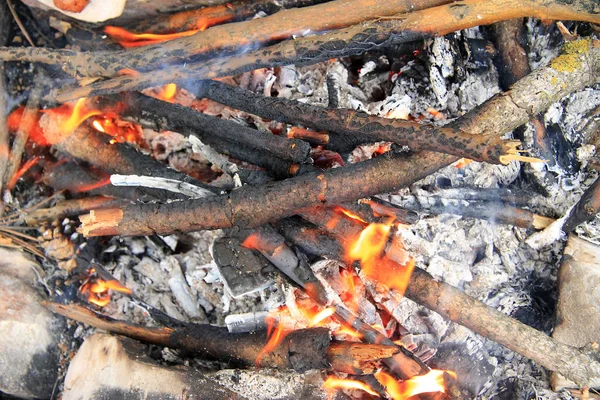 Bonfire in the forest ready for barbeque — Stock Photo, Image