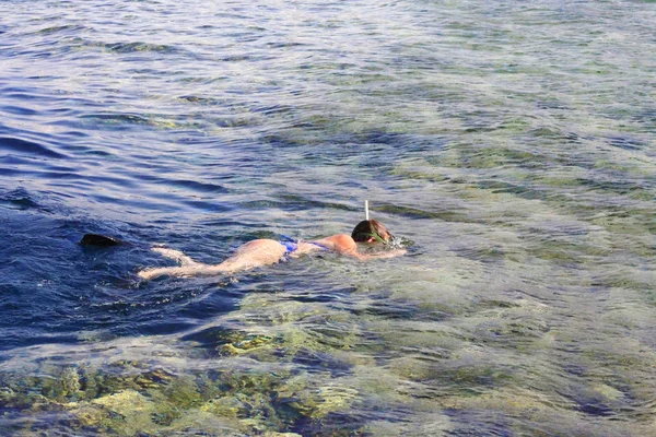 Mujer fotógrafa sumergiéndose en el agua del Mar Rojo — Foto de Stock