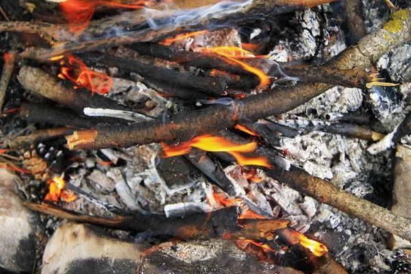 Bonfire in the forest ready for barbeque — Stock Photo, Image