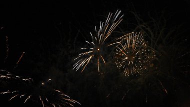 siyah gece gökyüzünde kutlamaları havai fişek