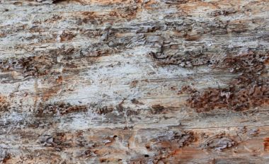 Ahşap arka plan dokulu deseni kahverengi renklerde