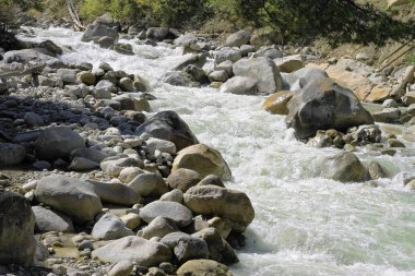 Kanyonda akan nehir vahşi dağ