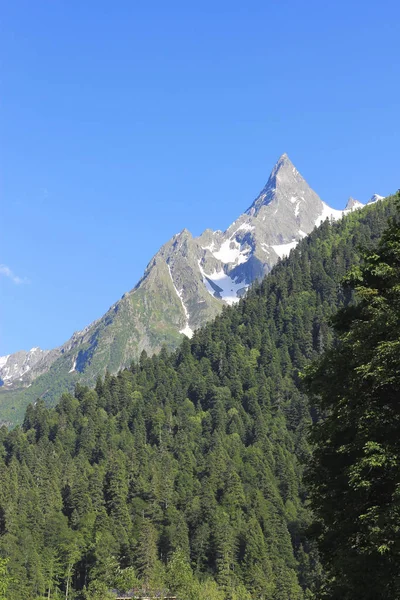 Montañas del Cáucaso en verano. El paisaje montañoso de Dombai — Foto de Stock