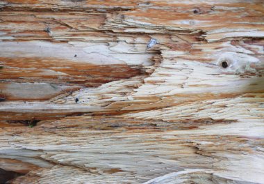 Ahşap arka plan dokulu deseni kahverengi renklerde