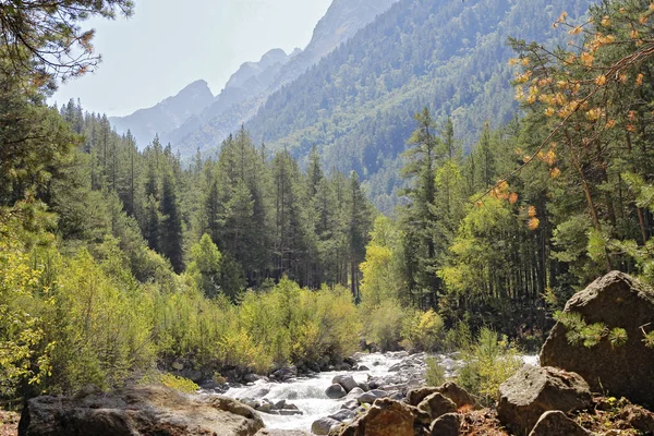 Wild mountain river flowing in the canyon — Stock Photo, Image