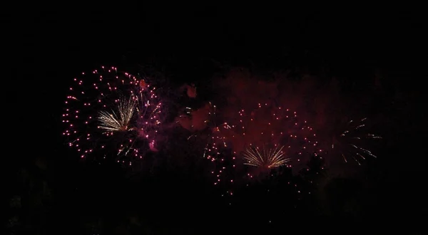 Fuegos artificiales de celebración en el cielo negro de la noche —  Fotos de Stock