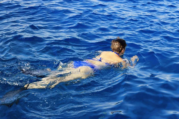 Woman photographer diving into water of Red sea — Zdjęcie stockowe