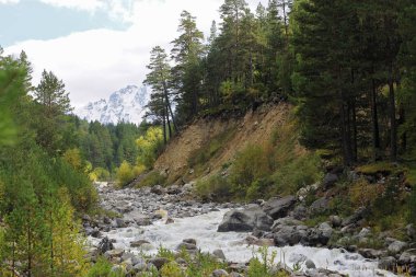 Kanyonda akan nehir vahşi dağ